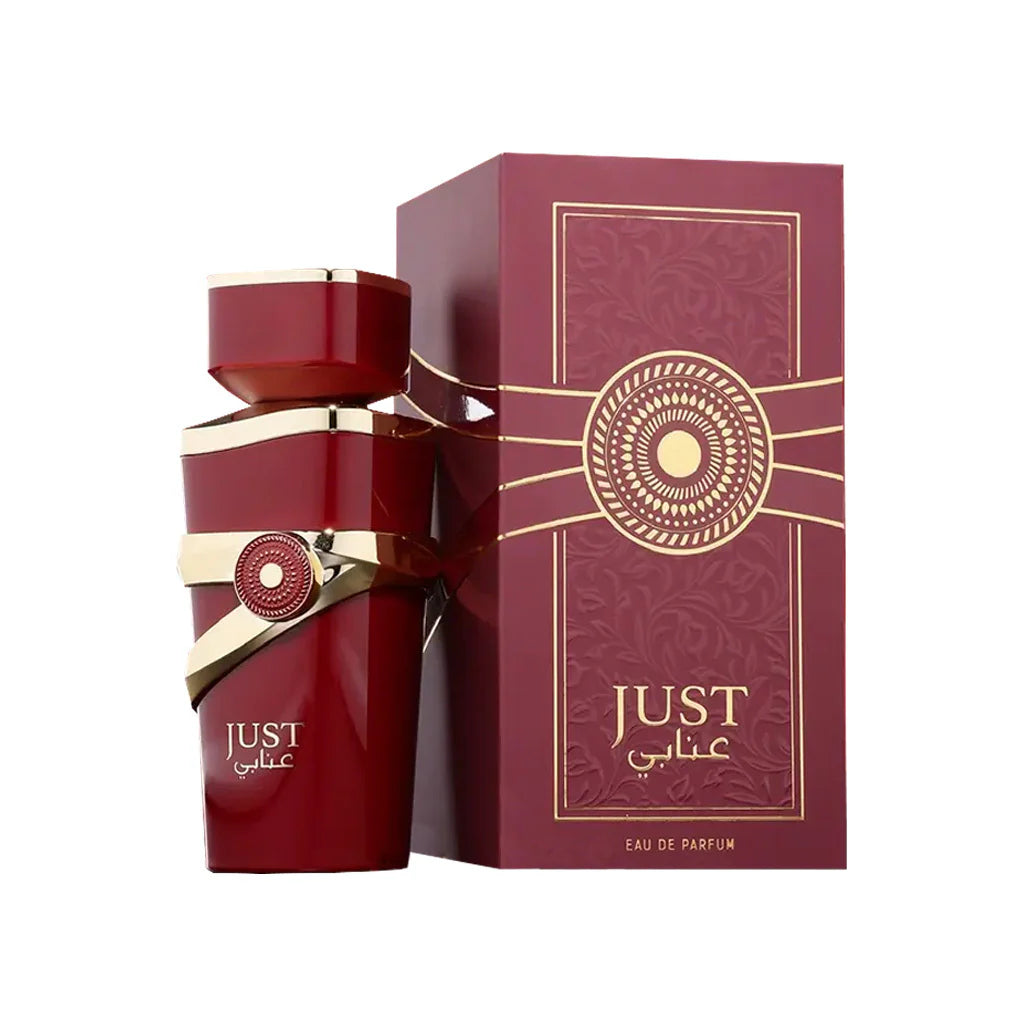 JUST ANABI 100ML - FRAGRANCE WORLD  - DOZEN (12 Pieces)