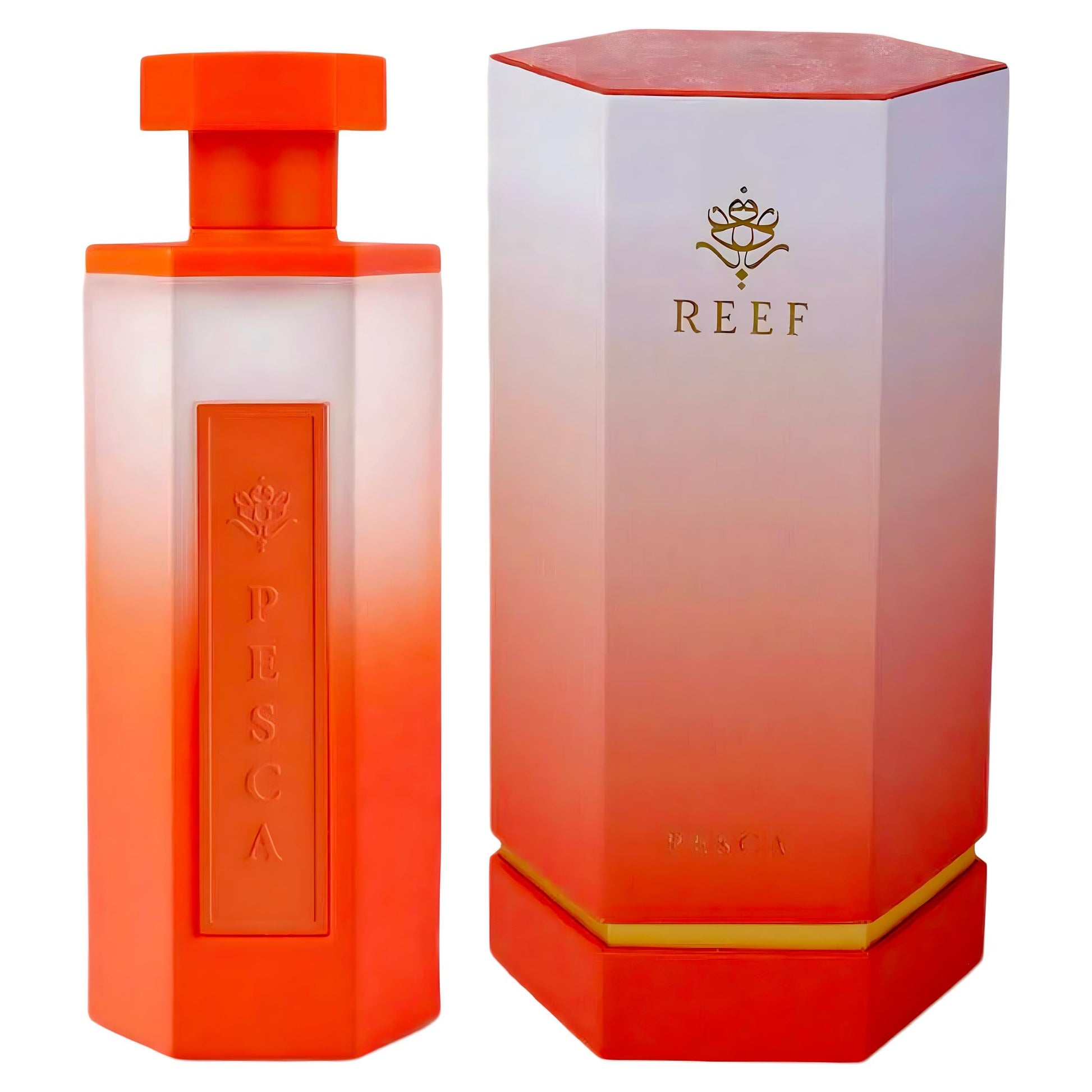 REEF PESCA 100ML - REEF - DOZEN (12 pieces)