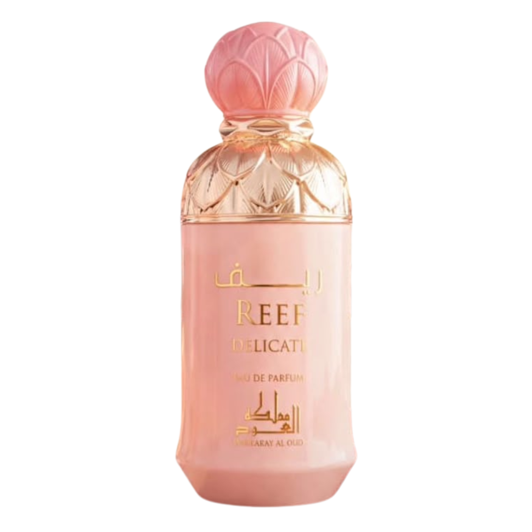 REEF DELICATE - MAMLAKAT AL OUD  - DOZEN (12 pieces)