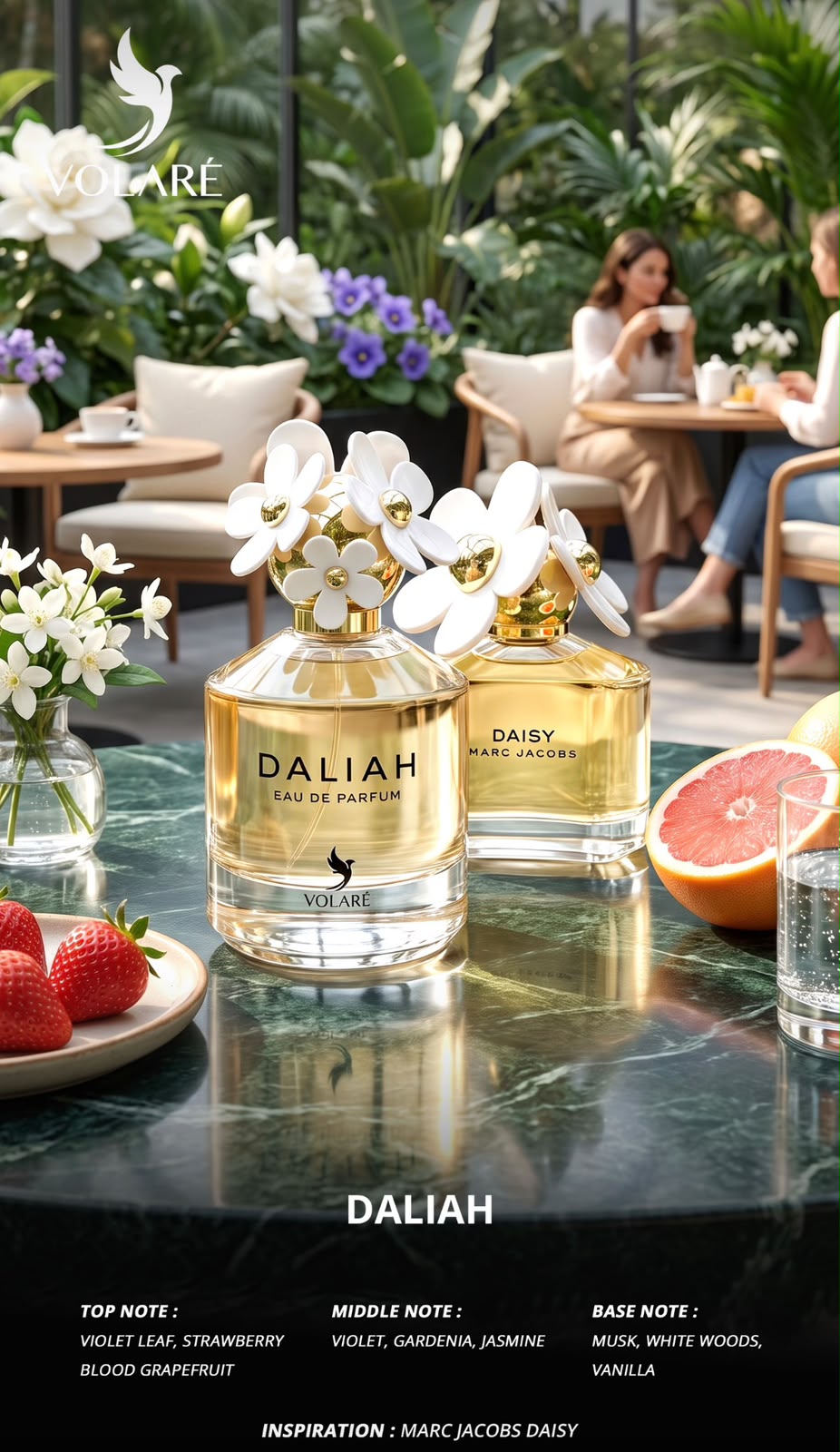 DALIA - VOLARE  - DOZEN (12 pieces)